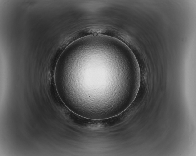 X0000085000551200703121502