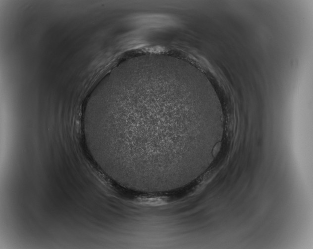 X0000085000553200703121502