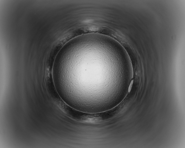 X0000085000555200703121503