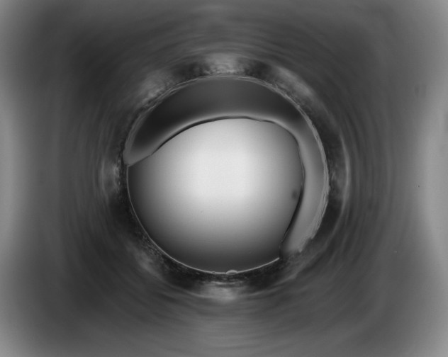 X0000085000556200703121503