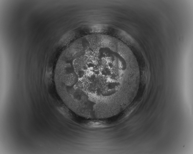 X0000085000557200703121503