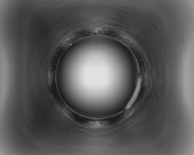 X0000085000558200703121503