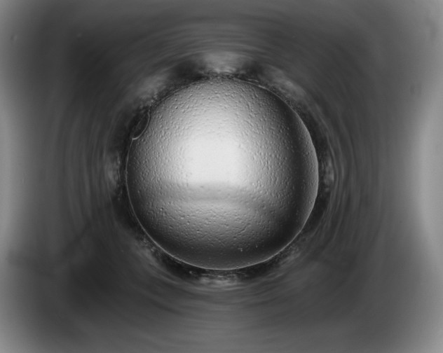 X0000085000559200703121503