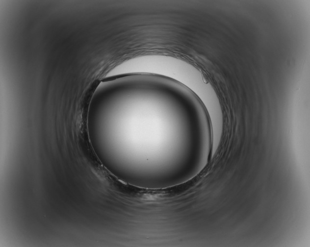 X0000085000560200703121503