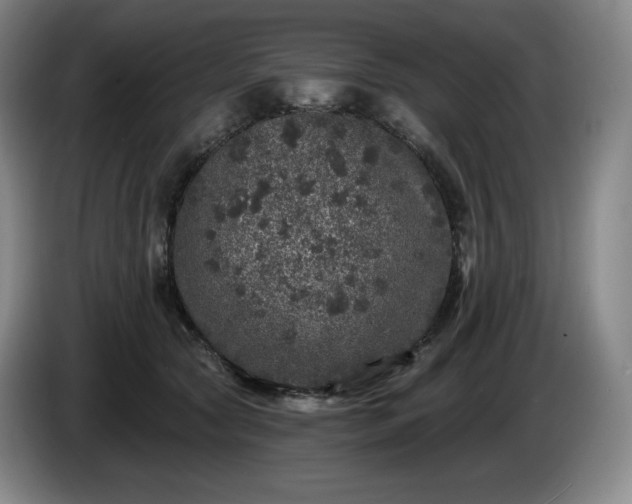 X0000085000561200703121503