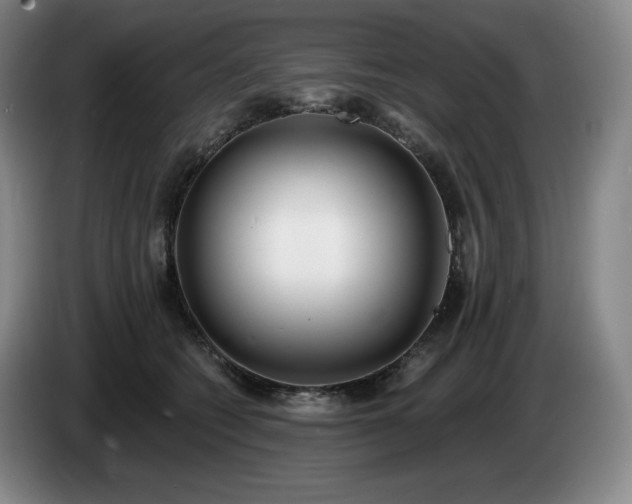 X0000085000562200703121503