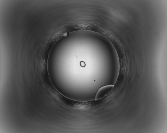 X0000085000563200703121503