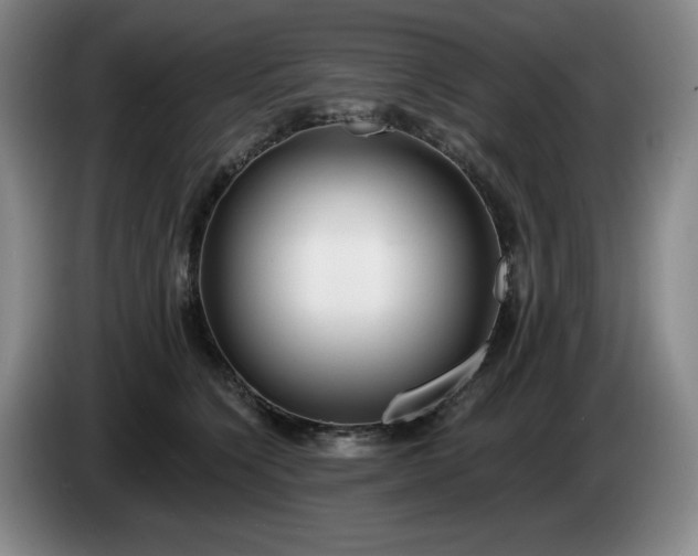 X0000085000564200703121503