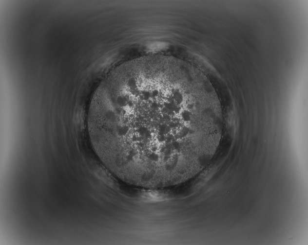 X0000085000565200703121503