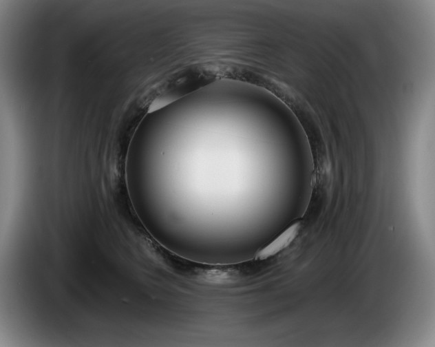 X0000085000566200703121503