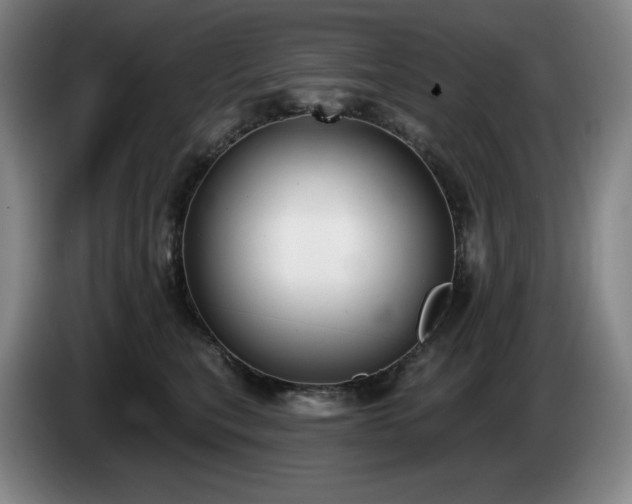 X0000085000567200703121503