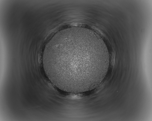 X0000085000569200703121503