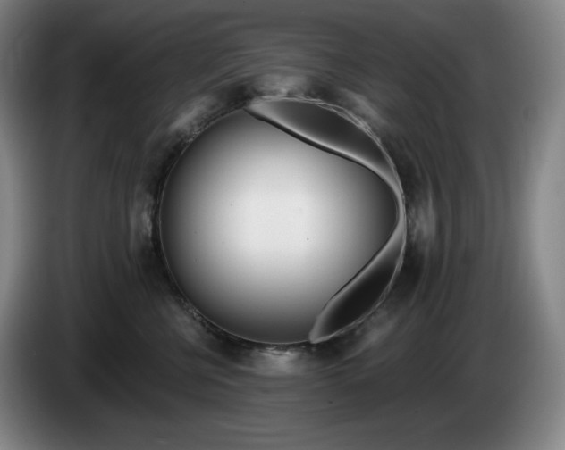 X0000085000570200703121503