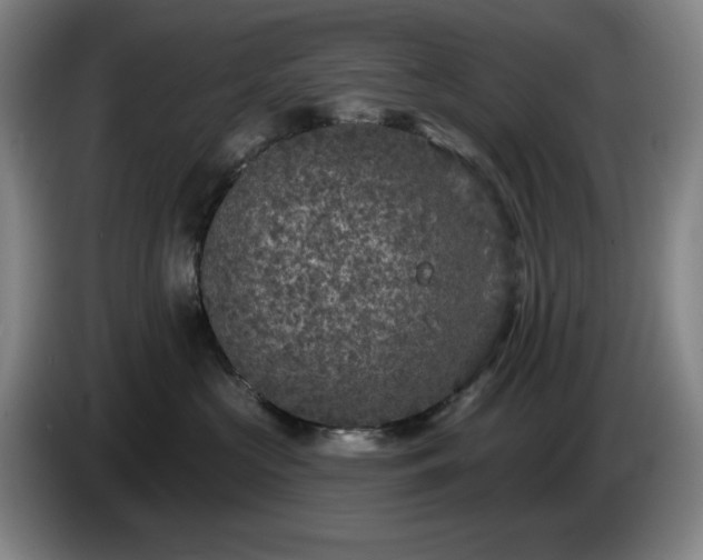 X0000085000573200703121503