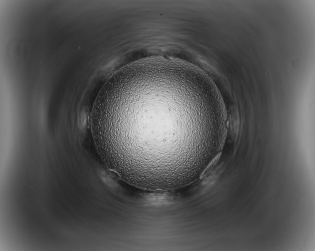 X0000085000574200703121503