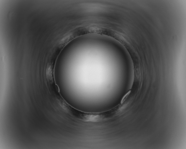 X0000085000575200703121503