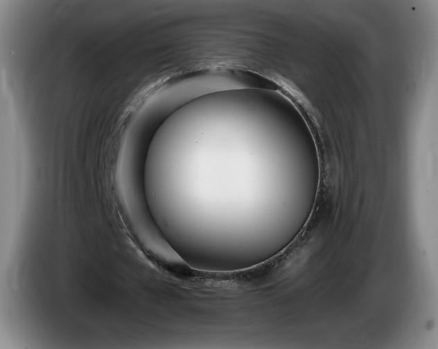 X0000085000577200703121502