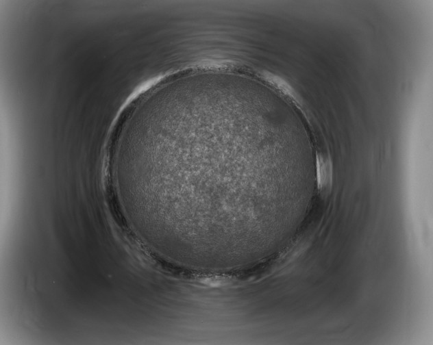 X0000085000579200703121502