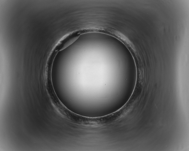 X0000085000580200703121502