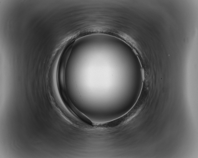 X0000085000581200703121502