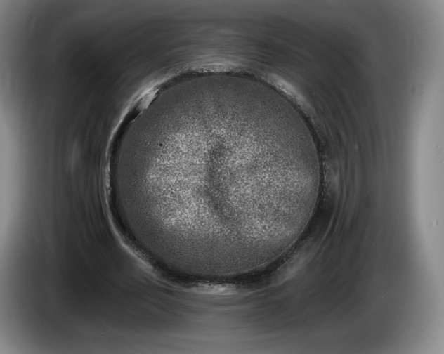 X0000085000582200703121502