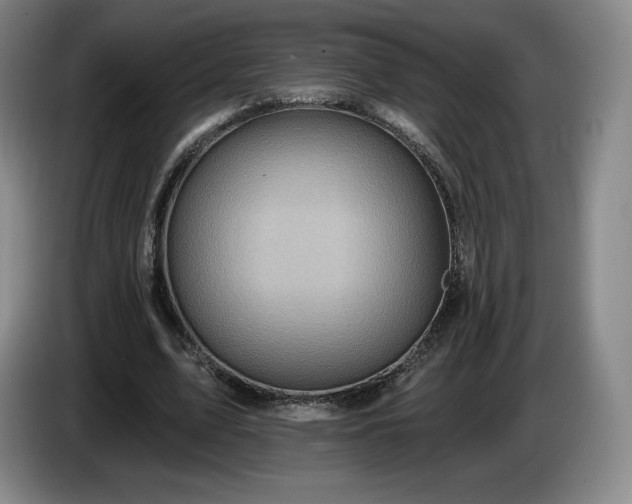 X0000085000583200703121502