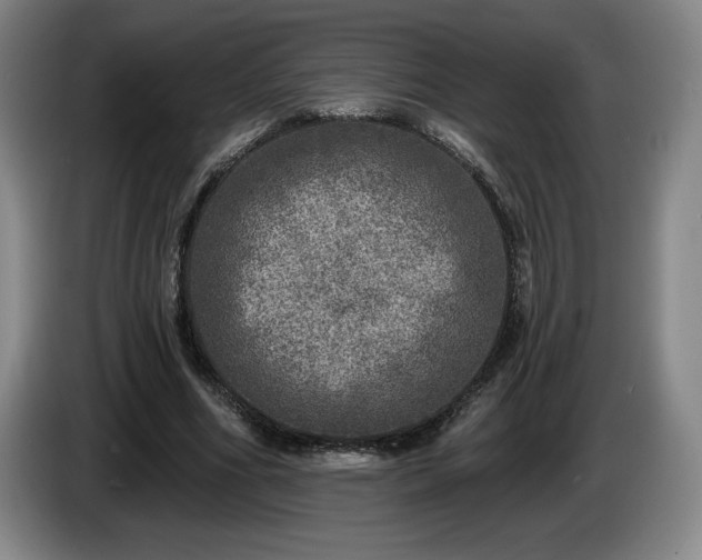 X0000085000586200703121502