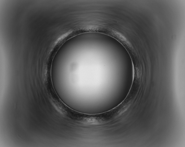 X0000085000588200703121502