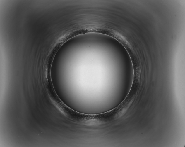 X0000085000589200703121502