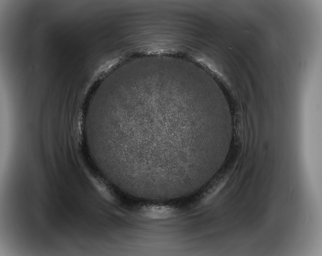 X0000085000590200703121502