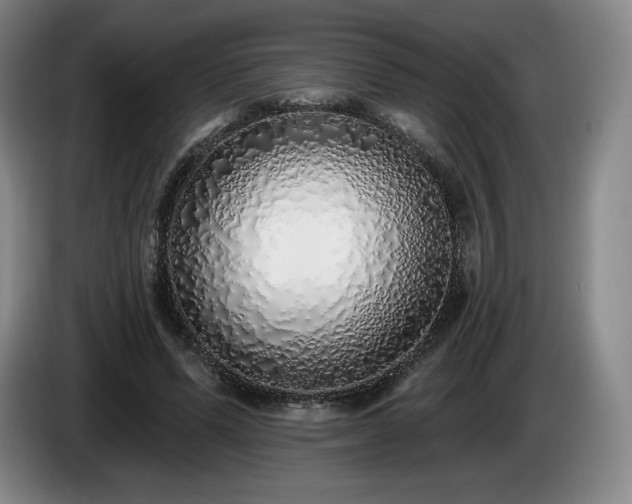 X0000085000591200703121502