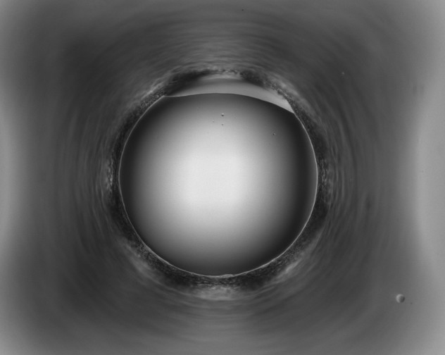 X0000085000593200703121502