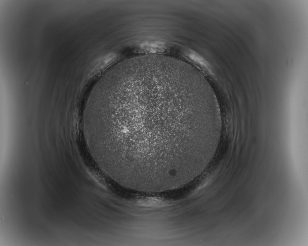 X0000085000594200703121502