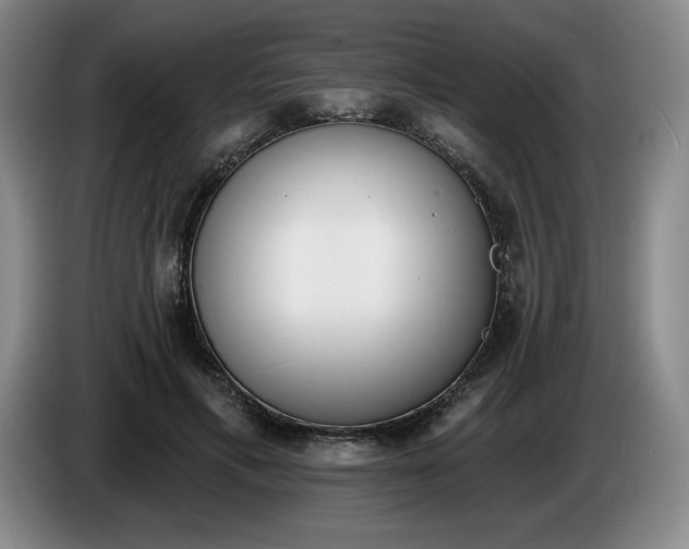 X0000085000597200703121502