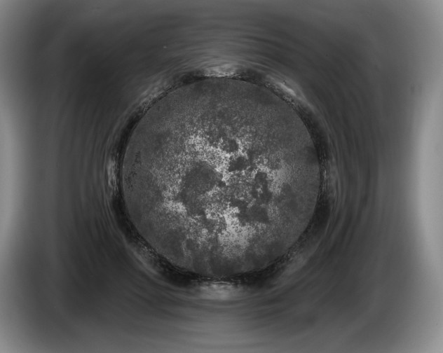 X0000085000598200703121502