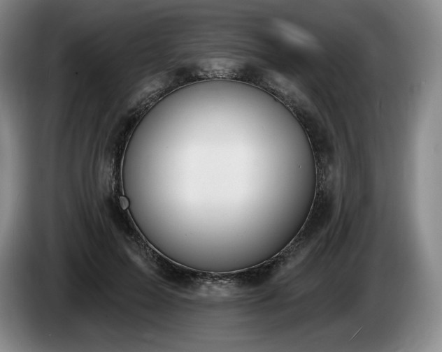 X0000085000599200703121502