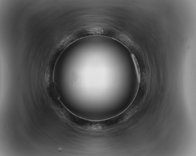 X0000085000600200703121502