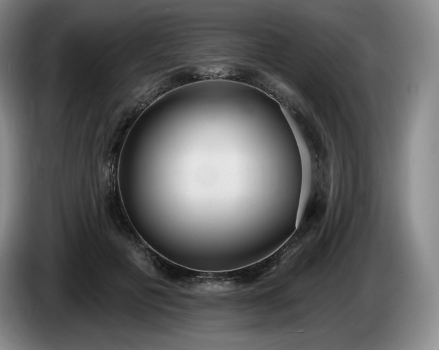 X0000085000601200703121502