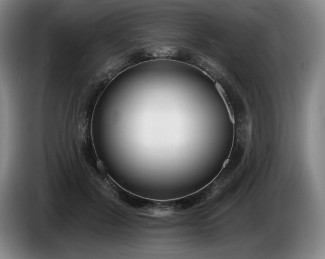 X0000085000604200703121502