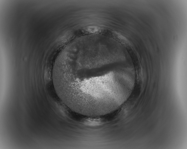 X0000085000606200703121502