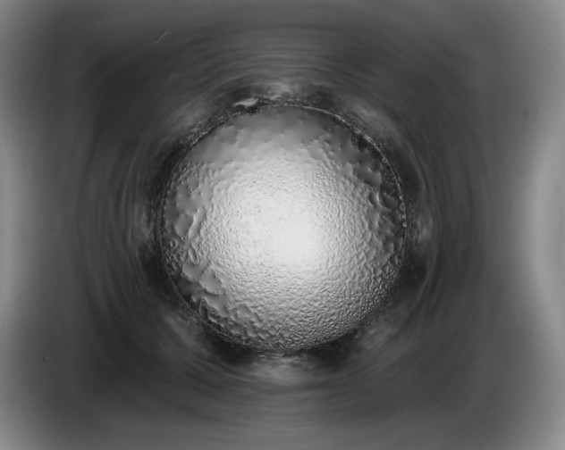 X0000085000607200703121502