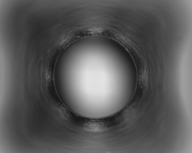 X0000085000608200703121502