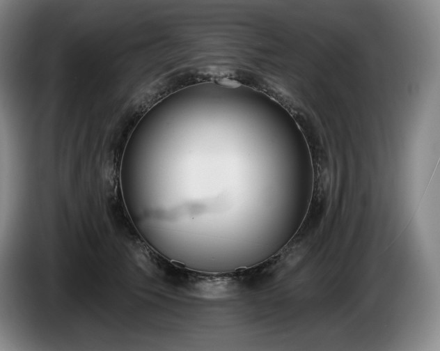 X0000085000609200703121502