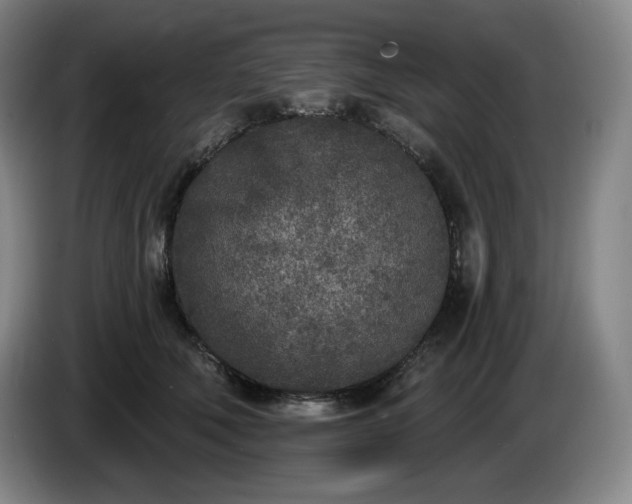 X0000085000610200703121502