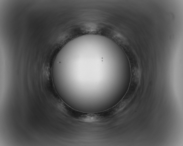 X0000085000612200703121502