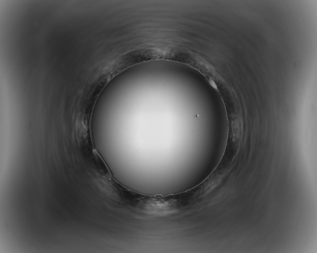 X0000085000613200703121502