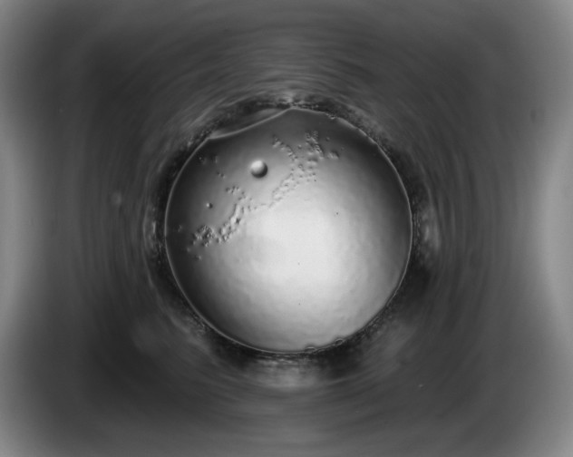 X0000085000615200703121502