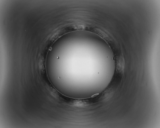 X0000085000616200703121502