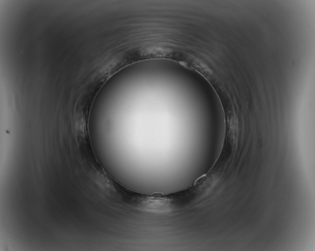 X0000085000617200703121502