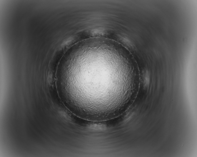 X0000085000619200703121502